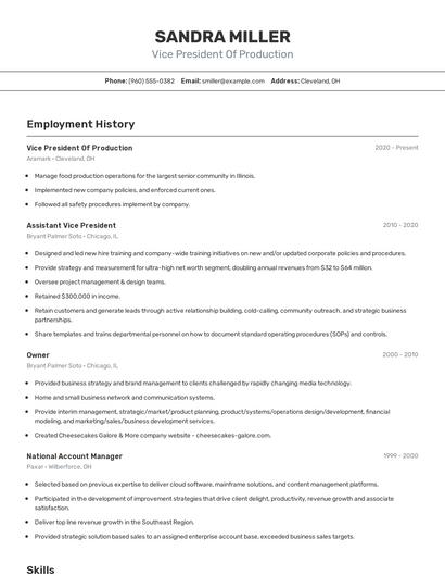 Vice President Of Production Resume