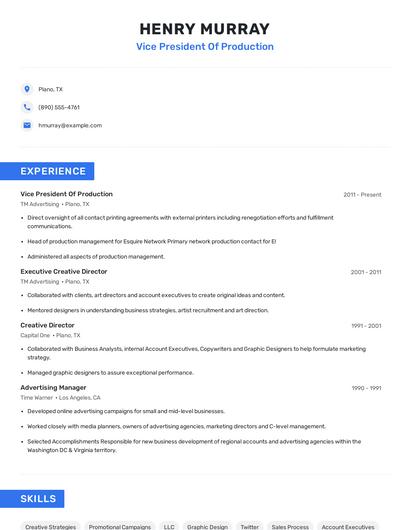 Vice President Of Production Resume