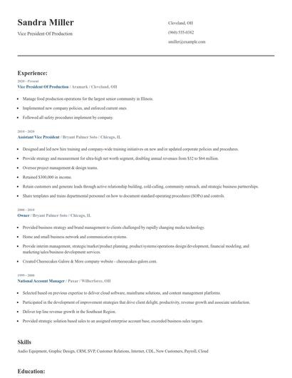 Vice President Of Production Resume