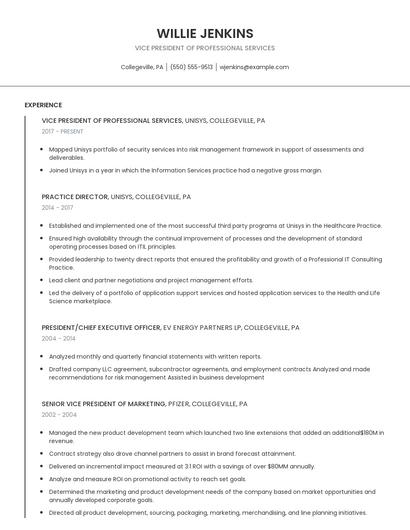 Vice President Of Professional Services Resume