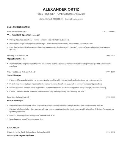 Vice President Operation Manager Resume