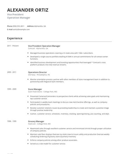 Vice President Operation Manager Resume