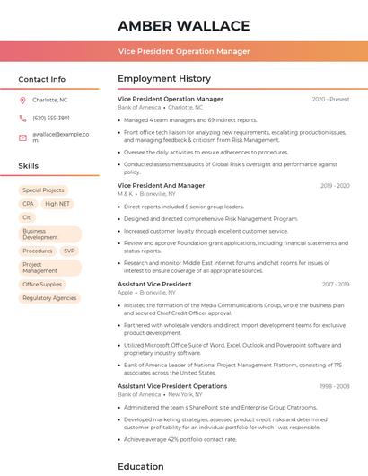Vice President Operation Manager Resume