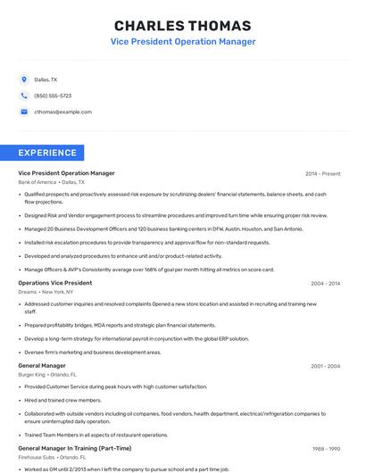 Vice President Operation Manager Resume