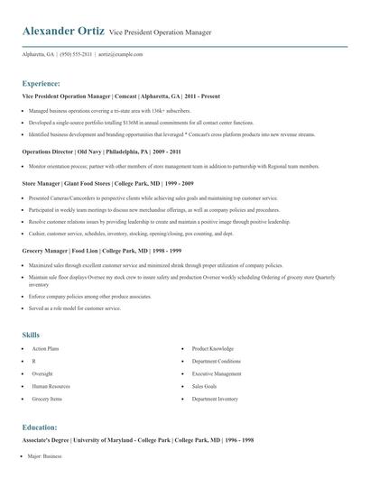 Vice President Operation Manager Resume