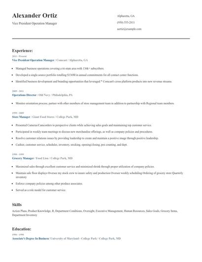 Vice President Operation Manager Resume