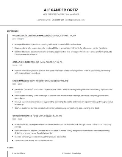Vice President Operation Manager Resume