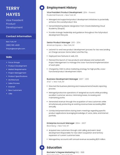 Vice President Product Development Resume