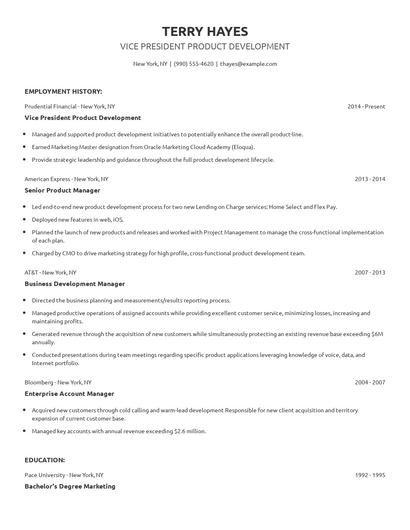 Vice President Product Development Resume