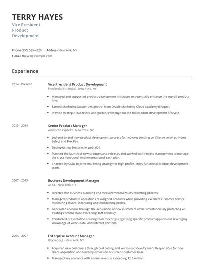 Vice President Product Development Resume