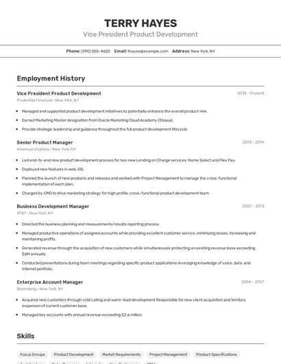 Vice President Product Development Resume