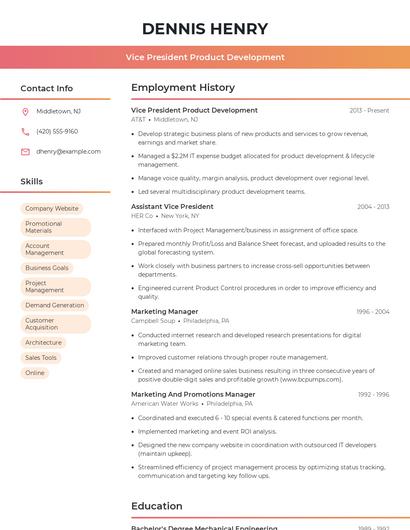 Resume example 3