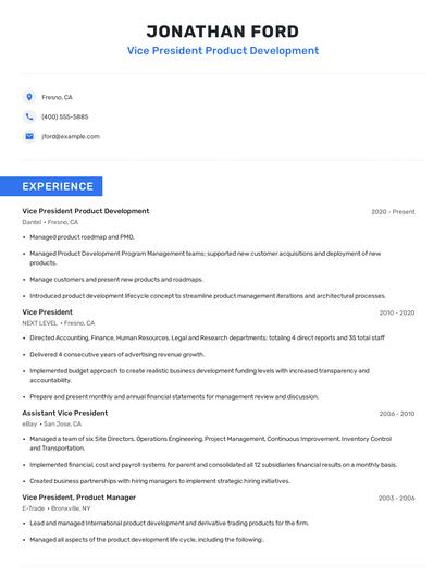Vice President Product Development Resume