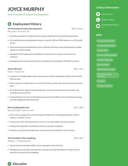 Resume example 4