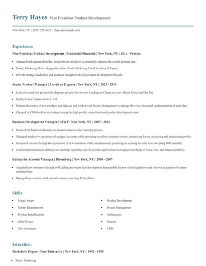 Vice President Product Development Resume