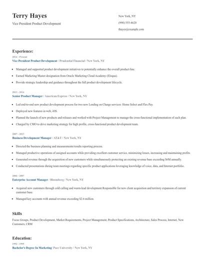 Vice President Product Development Resume