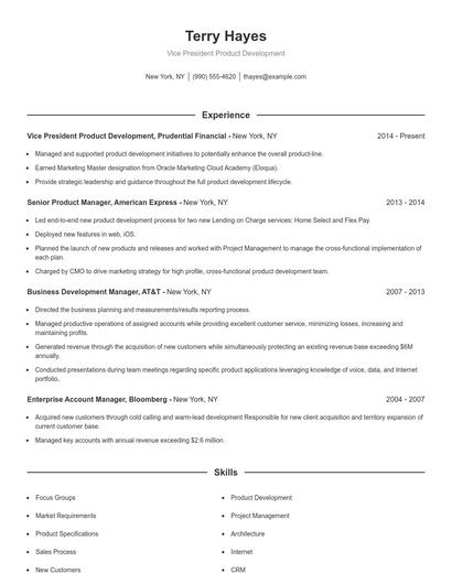 Vice President Product Development Resume