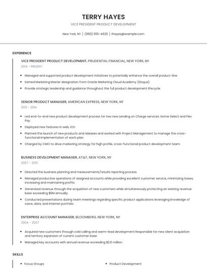 Vice President Product Development Resume