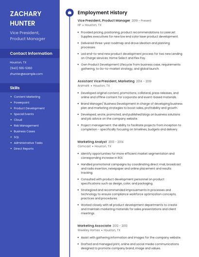 Vice President, Product Manager Resume