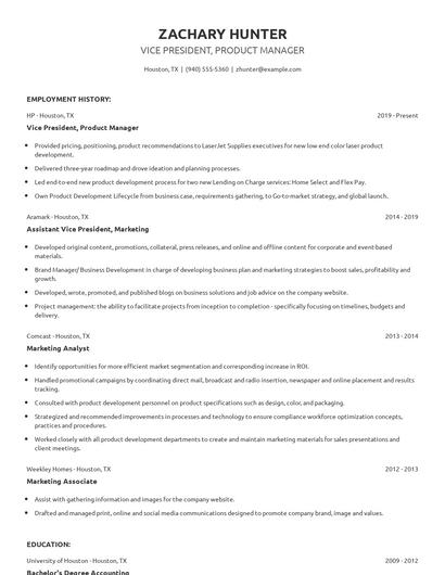 Vice President, Product Manager Resume