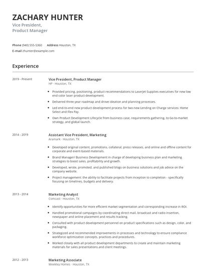 Vice President, Product Manager Resume