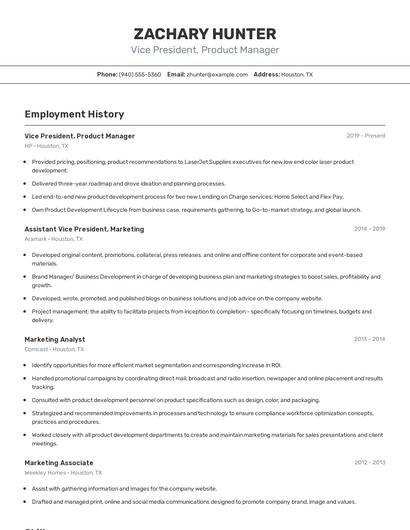 Vice President, Product Manager Resume