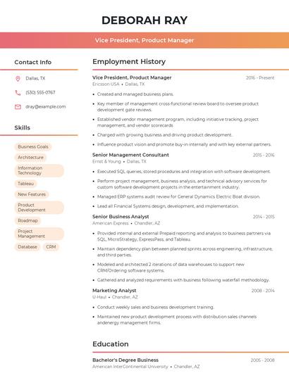 Vice President, Product Manager Resume