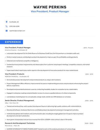 Vice President, Product Manager Resume