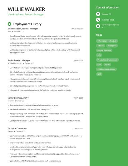 Vice President, Product Manager Resume