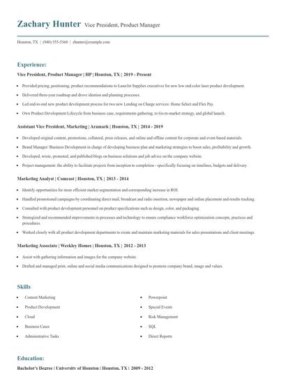 Vice President, Product Manager Resume