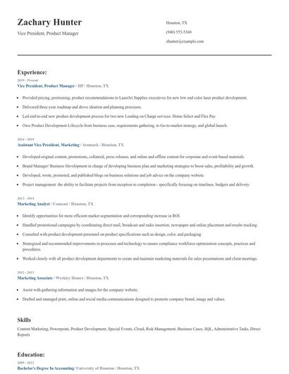 Vice President, Product Manager Resume