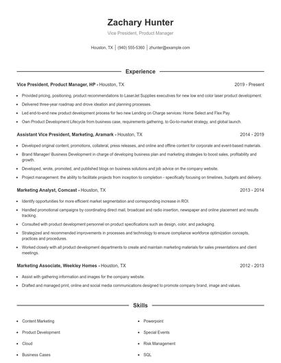 Vice President, Product Manager Resume