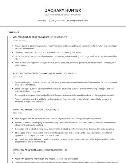 Vice President, Product Manager Resume