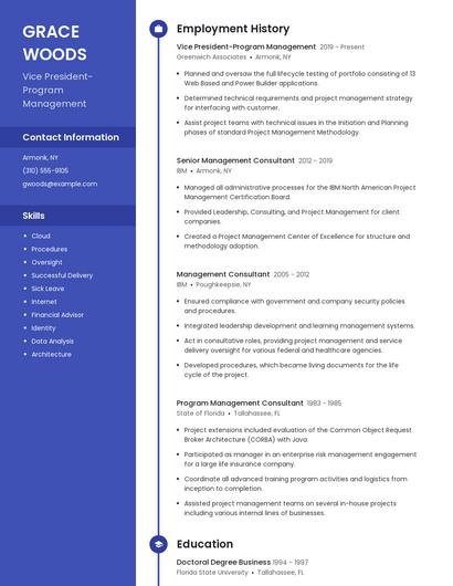 Vice President-Program Management Resume