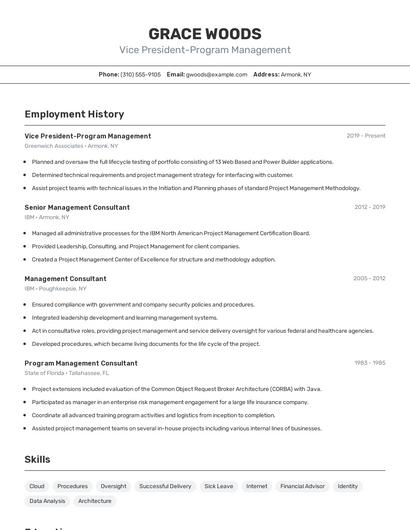 Vice President-Program Management Resume