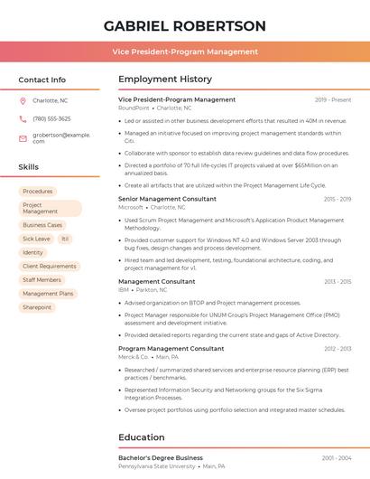 Vice President-Program Management Resume