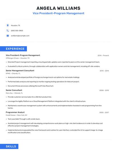 Vice President-Program Management Resume