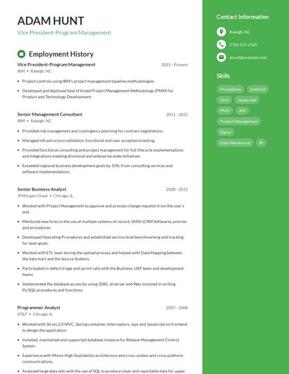 Vice President-Program Management Resume