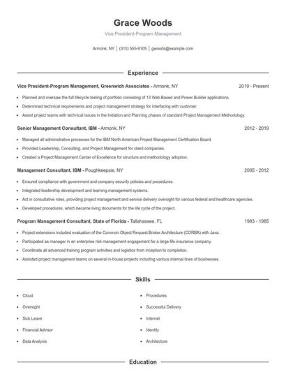 Vice President-Program Management Resume