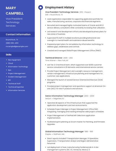 Vice President Technology Services Resume