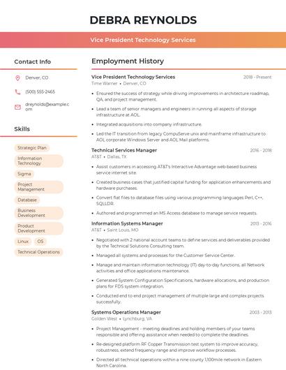 Vice President Technology Services Resume