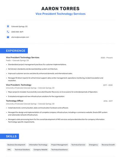 Vice President Technology Services Resume