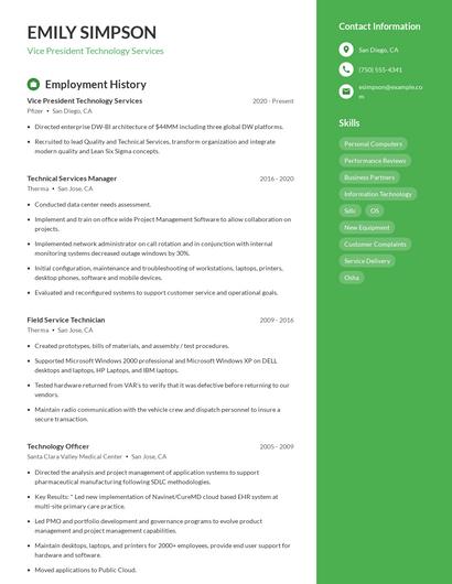 Vice President Technology Services Resume