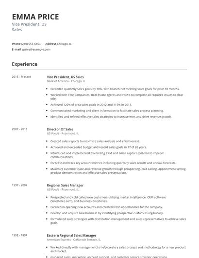 Vice President, US Sales Resume