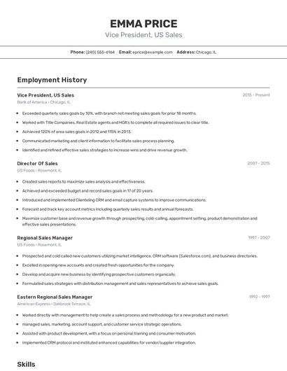 Vice President, US Sales Resume