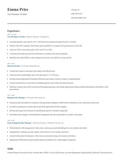 Vice President, US Sales Resume