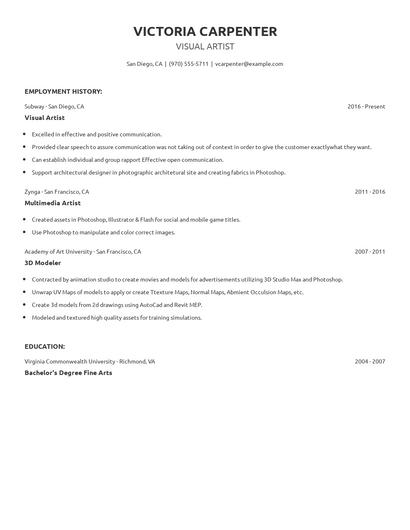 Visual Artist Resume
