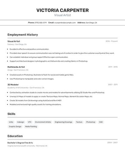 Visual Artist Resume
