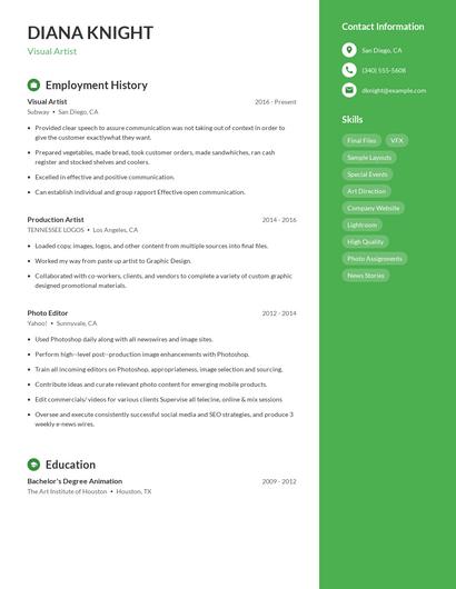 Visual Artist Resume