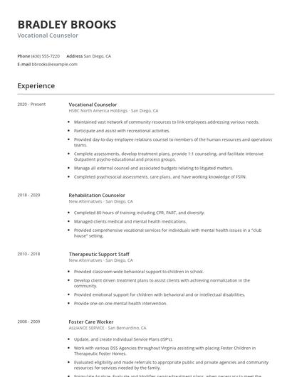 Vocational Counselor Resume